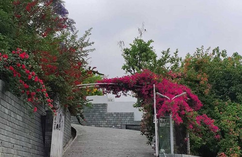 Sidhpur Resort | Private room ∙ 2 guests