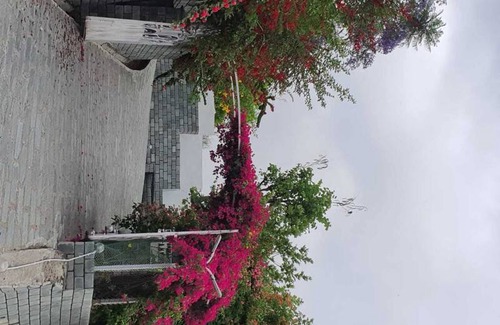 Sidhpur Resort | Private room ∙ 2 guests