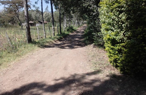 Ngong Resort | Private room ∙ 2 guests