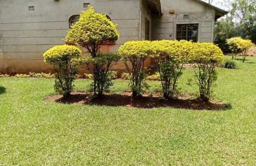 Siaya Resort | Private room ∙ 2 guests