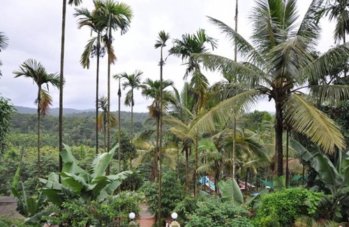 Mananthavady Resort | Private room ∙ 2 guests