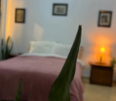 Casablanca City Center House | Private room 2