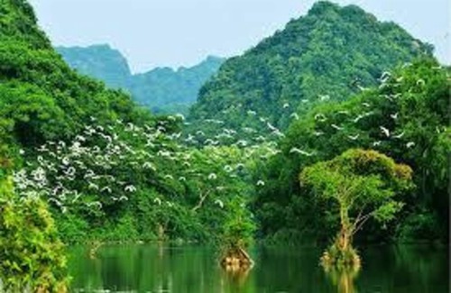 Hai Ba Trung Resort | Private room ∙ 2 guests