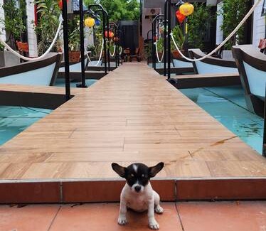 Dien Duong Resort | Private room ∙ 3 guests