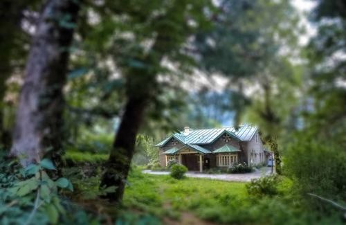Nainital Resort | Private room ∙ 3 guests
