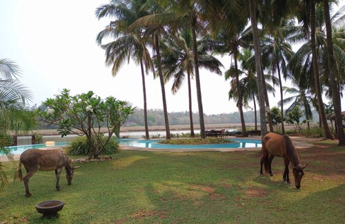 Aldona Resort | Private room ∙ 3 guests