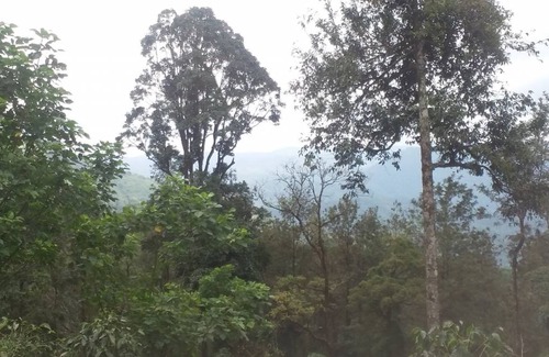 Valparai Resort | Private room ∙ 4 guests