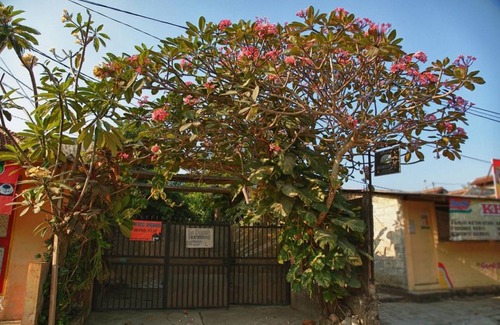 Condongcatur Resort | Private room ∙ 4 guests
