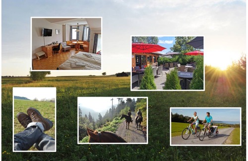 Neubulach Resort | Private room ∙ 6 guests