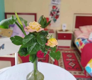 Elbasan House | Private room historic center Elbasan