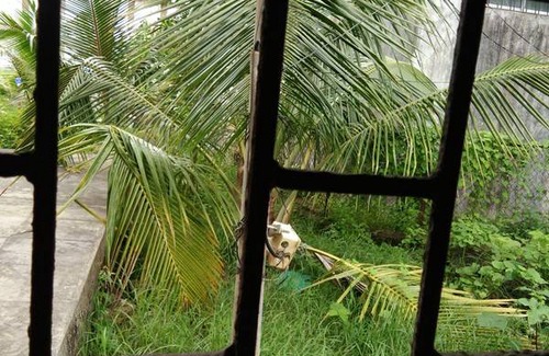 Vasai Resort | Private room ∙ 2 guests