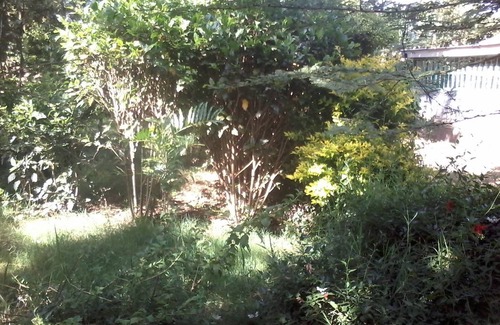 Nairobi Resort | Private room ∙ 1 guest