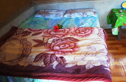 Tanna Island Resort | Private room ∙ 3 guests