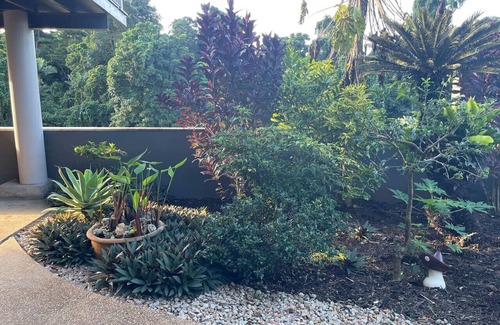 Mission Beach Cottage | Private Seaside Cottage | Rainforest Setting | Walk to Beach | Sleeps 3