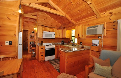 Hot Springs Cabin | Private Secluded Cabin with Hot Tub