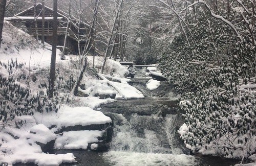 Beech Mountain Cabin | Private, Secluded, Custom Rustic Lodge, Stream