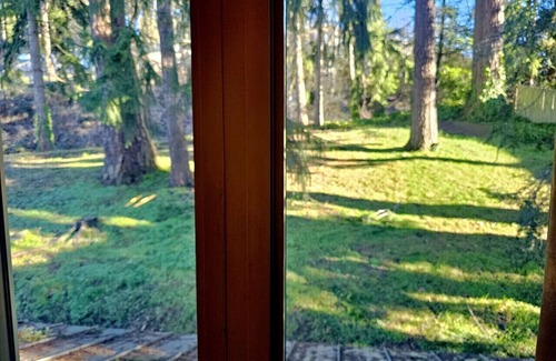 Sammamish Apartment | Private & Serene 2BR with Amazing Lake Sammamish Views