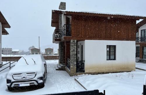 Bakuriani Villa | Private villa in Bakuriani
