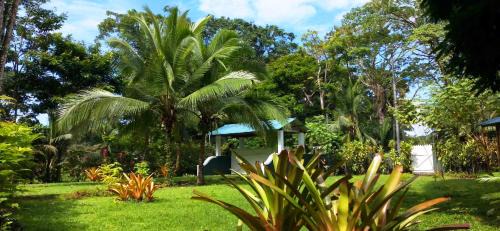 Manzanillo House | Private Villa on 2-Acres of Jungle Garden & Pool