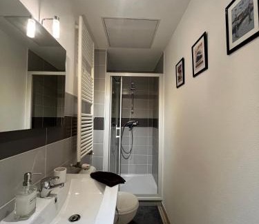 Belfort Apartment | Proche Gare, spacieux, lumineux, Fibre, P gratuit