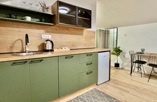 Pirot Apartment | Promo Apartman
