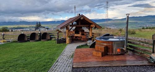 Toplita House | Prosilva house