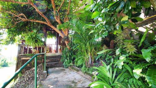 Nan House | Pround Nan Cottage