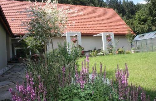 Ladek-Zdroj Apartment | Przystanek Dzika Dolina