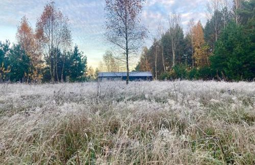 Gietrzwald House | Przystanek Naglady Warmia- całoroczny, duża leśna działka
