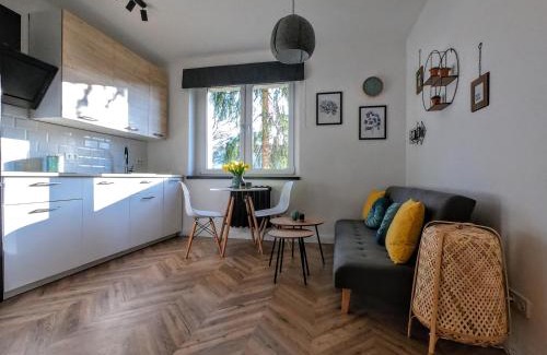 Katowice Apartment | Przytulny apartament przy Sokolskiej - 550 metrów od Spodka