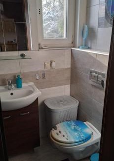 Komorniki Apartment | Przytulny