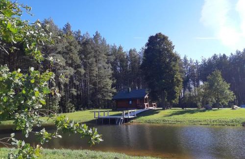 Gratiskes House | Pušų Šlamesy