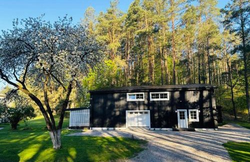 Druskininkai Apartment | Pušyno apartamentai