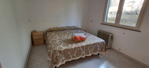 Gioiosa Ionica Apartment | Puccio's Little House