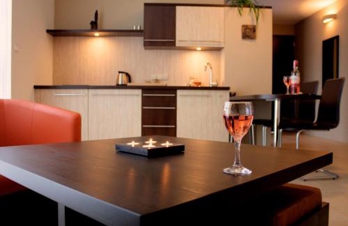 Krynica-Zdroj Apartment | Puenta Aparthotel