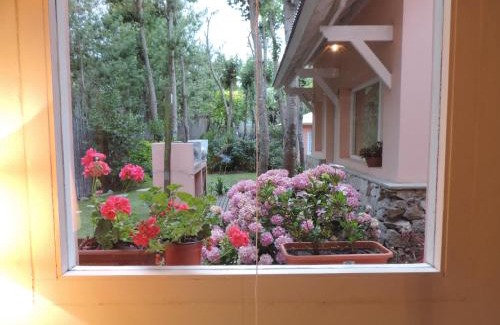 Las Gaviotas Cabin | Puerto de Lilas