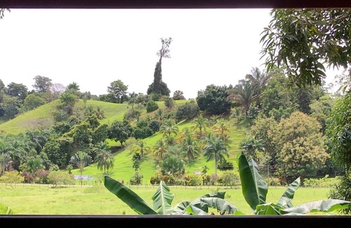 Langostino House | Puerto Pilon Pavones
