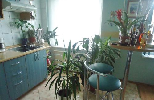 Alytus Apartment | Puikus apartamentai