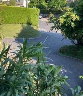 Pully Apartment | PULLY LAUSANNE sunny apartment on lakeside street and direct bus to Lausanne train station