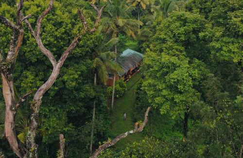 Ramakkalmedu Bed & Breakfast | Punarjani Ayurvedic Resorts