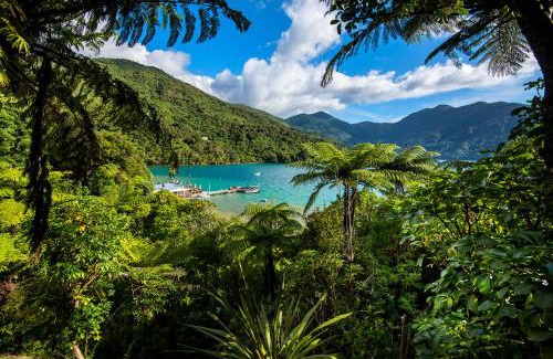 Punga Cove Resort | Punga Cove Resort
