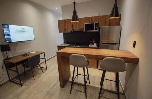 Coyoacan Apartment | Punto Lofts Periférico Sur