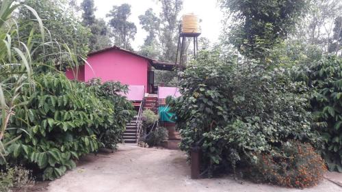 Somvarpet House | Punyasiri Homestay