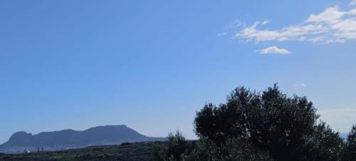 Algeciras House | Pura Vida