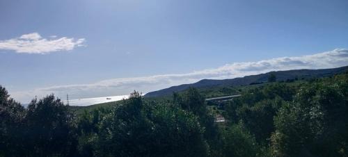 Algeciras House | Pura Vida
