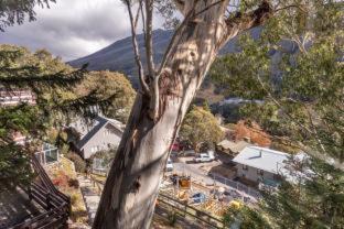 Thredbo Hotel | Pure Chalet Thredbo