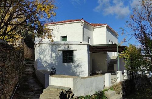 Andros Town House | Pure Nature House