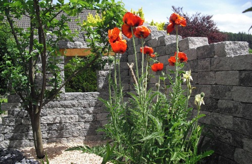 Olsberg Apartment | Pure relaxation, downhill and cross-country skiing, mountain biking, hiking