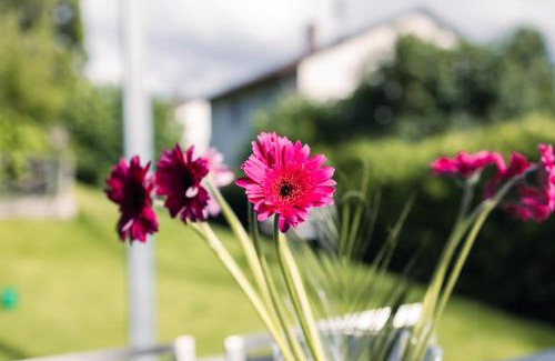 Owingen Apartment | Purer Genuss - Garten und Alpe