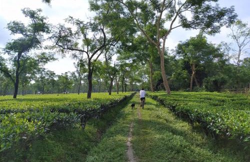 Jorhat House | Puroni Bheti Tea and Farm Retreat